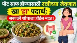 कफामुळे पोट साफ होत नाही? रात्रीच्या जेवणात खा ‘हा’ एक पदार्थ, सकाळी मिळेल आराम!