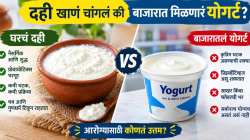 दही की योगर्ट? आरोग्यासाठी नेमकं काय जास्त फायदेशीर? जाणून घ्या दोन्हीमधील फरक