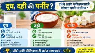 Milk VS curd VS paneer