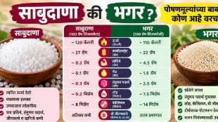 Sabudana or Bhagar during fast