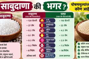 Sabudana or Bhagar during fast