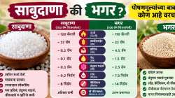 उपवासात साबुदाणा की भगर? आरोग्यासाठी काय जास्त फायदेशीर? जाणून घ्या पोषणमूल्यांमधील फरक