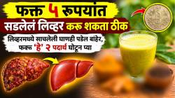 फक्त ५ रूपयांत सडलेलं लिव्हर करू शकता ठीक; लिव्हरमध्ये साचलेली घाणही पडेल बाहेर, फक्त ‘हे’ २ पदार्थ घोटून प्या