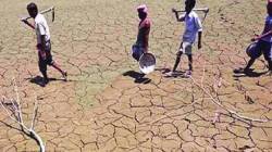 सरकारी कर्मचाऱ्यांचे एक दिवसाचे वेतन दुष्काळग्रस्त शेतकऱ्यांसाठी