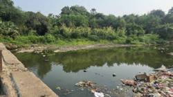 बेटेगावच्या शिवकालीन बंधाऱ्यात मूर्ती विसर्जनाला बंदी; पाणी पातळी तळाला गेल्याने प्रशासनाचा निर्णय