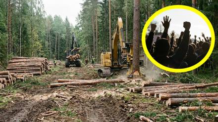 Karjat Torrent Power Deforestation | कर्जत वृक्षतोडीविरोधात ठाणे, कल्याणचे  पर्यावरणवादी एकवटले