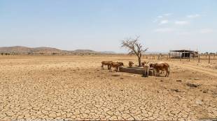 Radhakrishna Vikhe Patil | Ahilyanagar Drought News | Fodder Depot Proposal Maharashtra | Water Supply Scheme Ahilyanagar