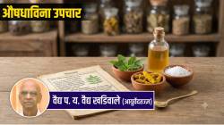 Ayurveda Pathya Tips: …तर औषधाची गरजच नाही! निरोगी आयुष्यासाठी वैद्य खडिवालेंनी सांगितलेले सोपे पथ्य आणि घरगुती नियम