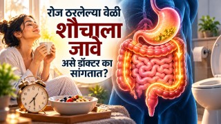 Bowel movement timing constipation causes