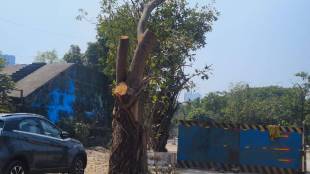 Thane tree cutting news | MSETCL power substation Kolshet Dhokali Thane | TMC tree authority proposal | Thane environmental news Maharashtra