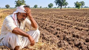 North Maharashtra Rabi Sowing Area Drop | Jalgaon Dhule Nandurbar Drought Crisis | Kurban Tadvi District Superintendent Agriculture Officer Jalgaon | Agriculture Losses Maharashtra Drought
