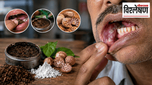 A close-up of a man showing white lesions and irritated tissue inside his mouth, alongside images of smokeless tobacco, masheri, areca nuts, and lime, highlighting the risks of oral cancer and other oral health complications. Loksatta Vishleshan logo appears in the upper-right corner.