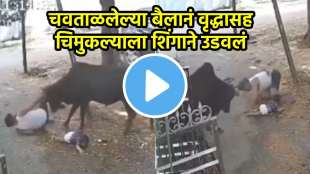 Raipur bull attack video