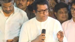 What Raj Thackeray Said?