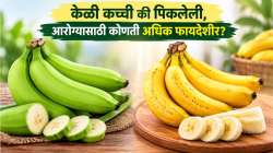 Raw vs Ripe Banana : केळी कच्ची की पिकलेली, आरोग्यासाठी कोणती अधिक फायदेशीर? जाणून घ्या