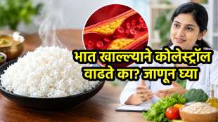 Rice And Cholesterol Connection