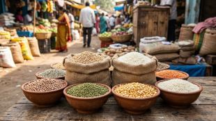 Sangli Market Grain Price Hike | Jowar Rice Pulse Rates Increase Sangli | Drought Impact Maharashtra Agriculture | Digambar Shinde Sangli News Report