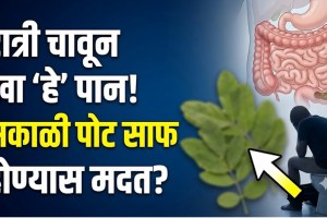 Senna leaves and medicinal senna plant for constipation relief, digestive health, bowel movements, benefits and potential side effects.