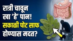 २-३ दिवसांपासून आतड्यात साचून राहिलेला मल कुजतोय? रात्री झोपताना चावून खा ‘हे’ १ पान; सकाळी ५ मिनिटांत पोट होईल झटपट साफ!