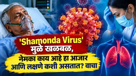Shamonda Virus Symptoms