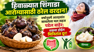 Shingada Benefits