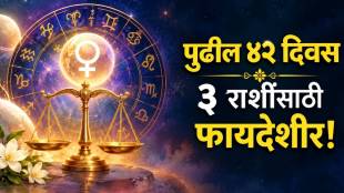 Shukra Entre In Tul Rashi For 42 Days