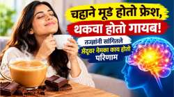 चॉकलेटप्रमाणे चहाने मूड होतो फ्रेश, थकवा होतो गायब! तज्ज्ञांनी सांगितले मेंदूवर नेमका काय होतो परिणाम