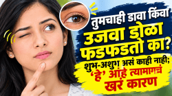Eye Flutter: तुमचाही डावा किंवा उजवा डोळा फडफडतो का? शुभ-अशुभ असं काही नाही; ‘हे’ आहे त्यामागचं खरं कारण…