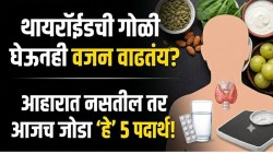 औषधं घेऊनही थायरॉईडमुळे वजन वाढतंय? रोजच्या ताटात ठेवा ‘हे’ ५ साधे पदार्थ; हार्मोन्स होतील नॅचरली कंट्रोल!