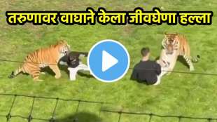 Tiger Attack Man Shocking Video
