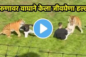 Tiger Attack Man Shocking Video