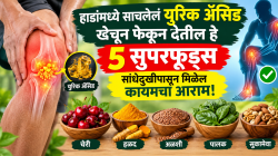 हाडांमध्ये साचलेलं यूरिक ॲसिड खेचून फेकून देतील हे ५ सुपरफूड्स; सांधेदुखीपासून मिळेल कायमचा आराम!