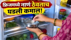 फ्रिजमध्ये घराबाहेर जाण्यापूर्वी पैसे ठेवून पाहा; मोठ्या समस्येवर मिळेल उपाय, बाहेर काढल्यावर दिसेल कमाल! VIDEO पाहून तुम्हीही कराल हा जुगाड