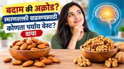 बदाम की अक्रोड? स्मरणशक्ती, एकाग्रता वाढवण्यासाठी कोणता पर्याय उत्तम? जाणून घ्या काय म्हणतात तज्ज्ञ