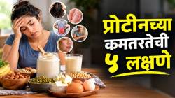 शरीरातील प्रोटीनची कमतरता कशी ओळखाल? ‘ही’ ५ लक्षणे दिसल्यास आहारात ‘या’ पावडरचा करा समावेश