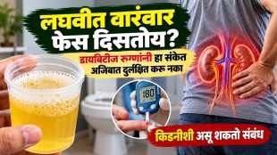 foamy urine in diabetes | kidney disease early symptoms | albuminuria proteinuria causes | diabetes kidney damage treatment