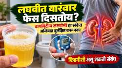 लघवीत वारंवार फेस दिसतोय? डायबिटीज रुग्णांनी हा संकेत अजिबात दुर्लक्षित करू नका; किडनीशी असू शकतो संबंध