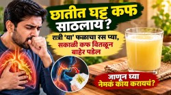छातीत घट्ट कफ साठलाय? रात्री ‘या’ फळाचा रस प्या, सकाळी कफ वितळून बाहेर पडेल; जाणून घ्या नेमकं काय करायचं?