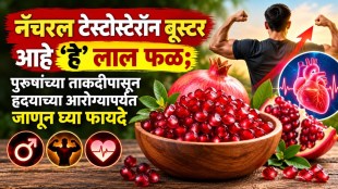 Pomegranate benefits for men | natural testosterone booster fruits | pomegranate for heart and digestion health | Marathi health tips for men