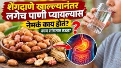 शेंगदाणे खाल्ल्यानंतर लगेच पाणी प्यायल्यास नेमकं काय होतं? काय सांगतात तज्ज्ञ?