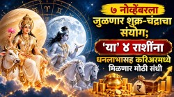 ७ नोव्हेंबरला जुळणार शुक्र-चंद्राचा संयोग; ‘या’ ४ राशींना धनलाभासह करिअरमध्ये मिळणार मोठी संधी