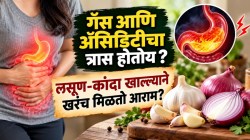 गॅस आणि ब्लोटिंगपासून सुटका हवी? लसूण, कांदा की डाळिंब; काय ठरेल फायदेशीर?
