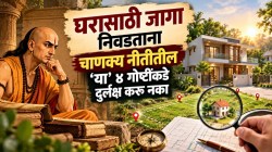 ‘या’ ४ ठिकाणी चुकूनही राहू नका! चाणक्य नीती सांगते, राहण्यासाठी जागा निवडताना ‘४’ गोष्टी कायम लक्षात ठेवा