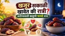खजूर खाण्याची योग्य वेळ कोणती? सकाळी खावेत की रात्री? जाणून घ्या आहारात याचे फायदे