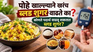 diabetes breakfast tips marathi | poha in diabetes blood sugar | idli for diabetic patients marathi | diabetic friendly breakfast ideas india