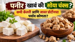 ५० रुपयांत पनीर की सोया चंक्स? कोणत्या पदार्थातून मिळतं सर्वाधिक प्रोटीन? आकडे पाहून व्हाल थक्क