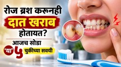 रोज ब्रश करता, तरी दात किडतायत? रोजच्या ‘५’ सवयी ठरू शकतात कारण, आजच बदला सवयी