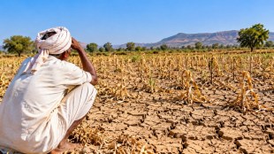 Nashik drought crop damage inspection | Farmers panchnama status in Maharashtra | Girish Mahajan instructions on crop loss | Nashik district revenue and agriculture administration