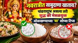 नवरात्रीत उपवासाला साबुदाणा खाताय? पण तो शुद्ध आहे की भेसळयुक्त? खाण्याआधी ‘या’ गोष्टी तपासा