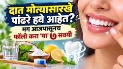 दक्षिण भारतीयांचे दात इतके पांढरे, चमकदार का दिसतात? डेंटिस्टने सांगितलं खरं कारण; दातांची चमक टिकवण्यासाठी करा ‘७’ गोष्टी